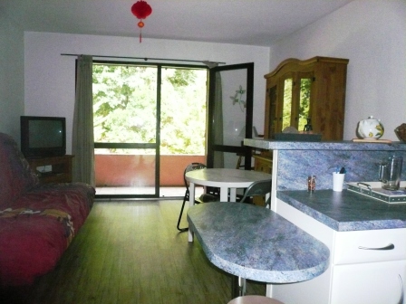 Séjour avec coin kitchenette